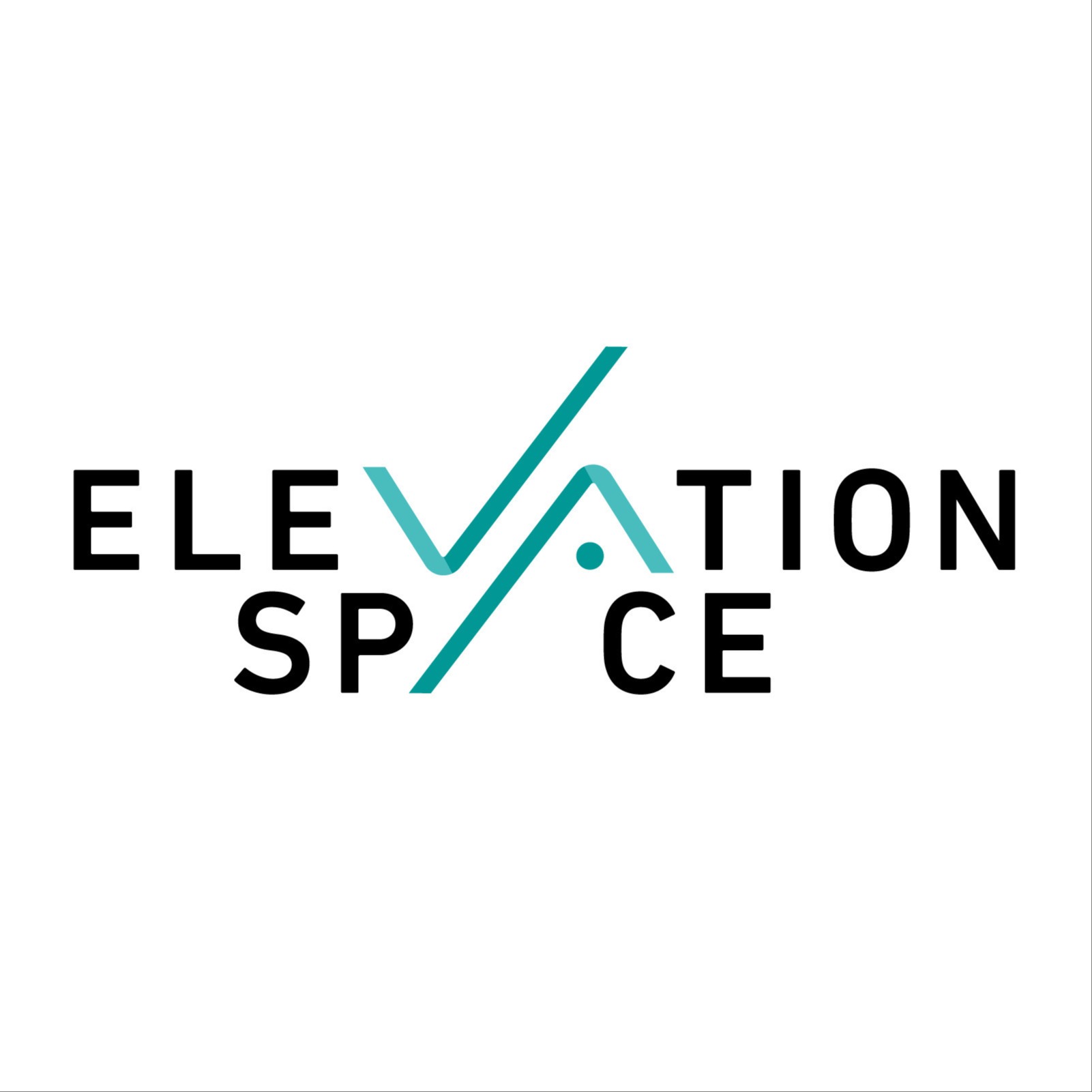 株式会社ElevationSpace