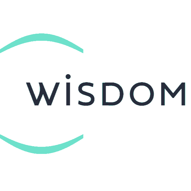合同会社 WISDOM