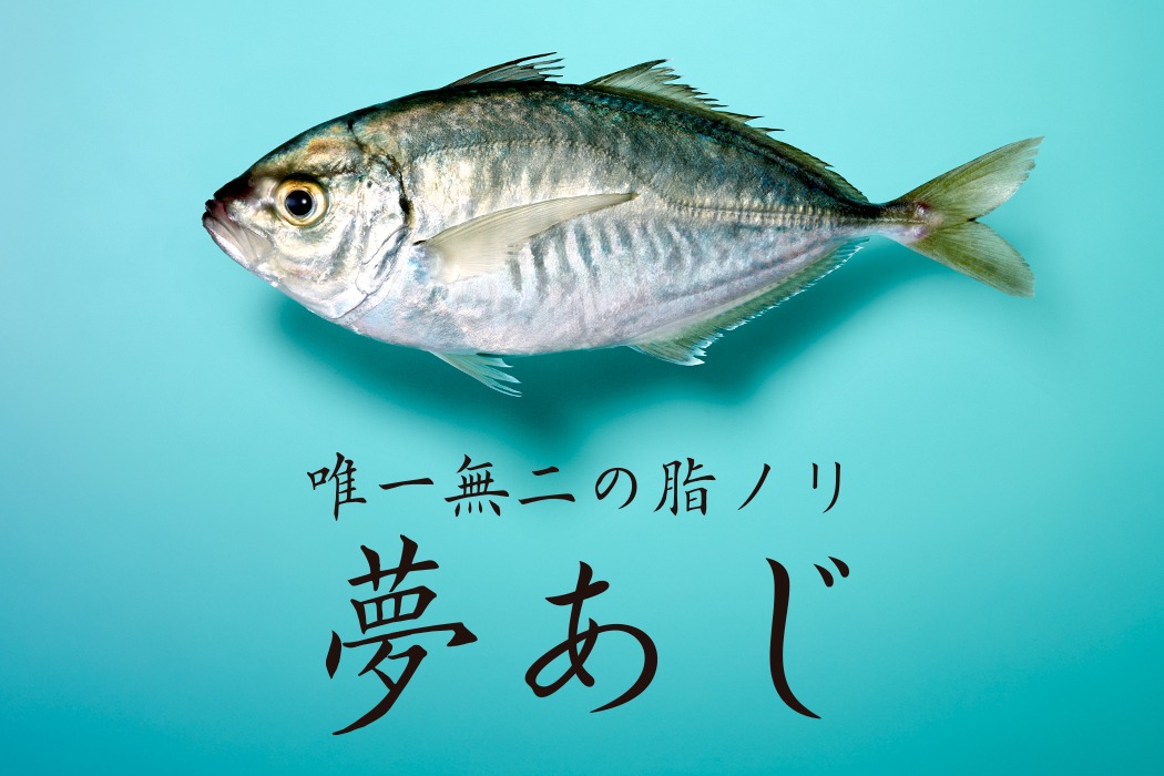 株式会社さかなドリーム画像0