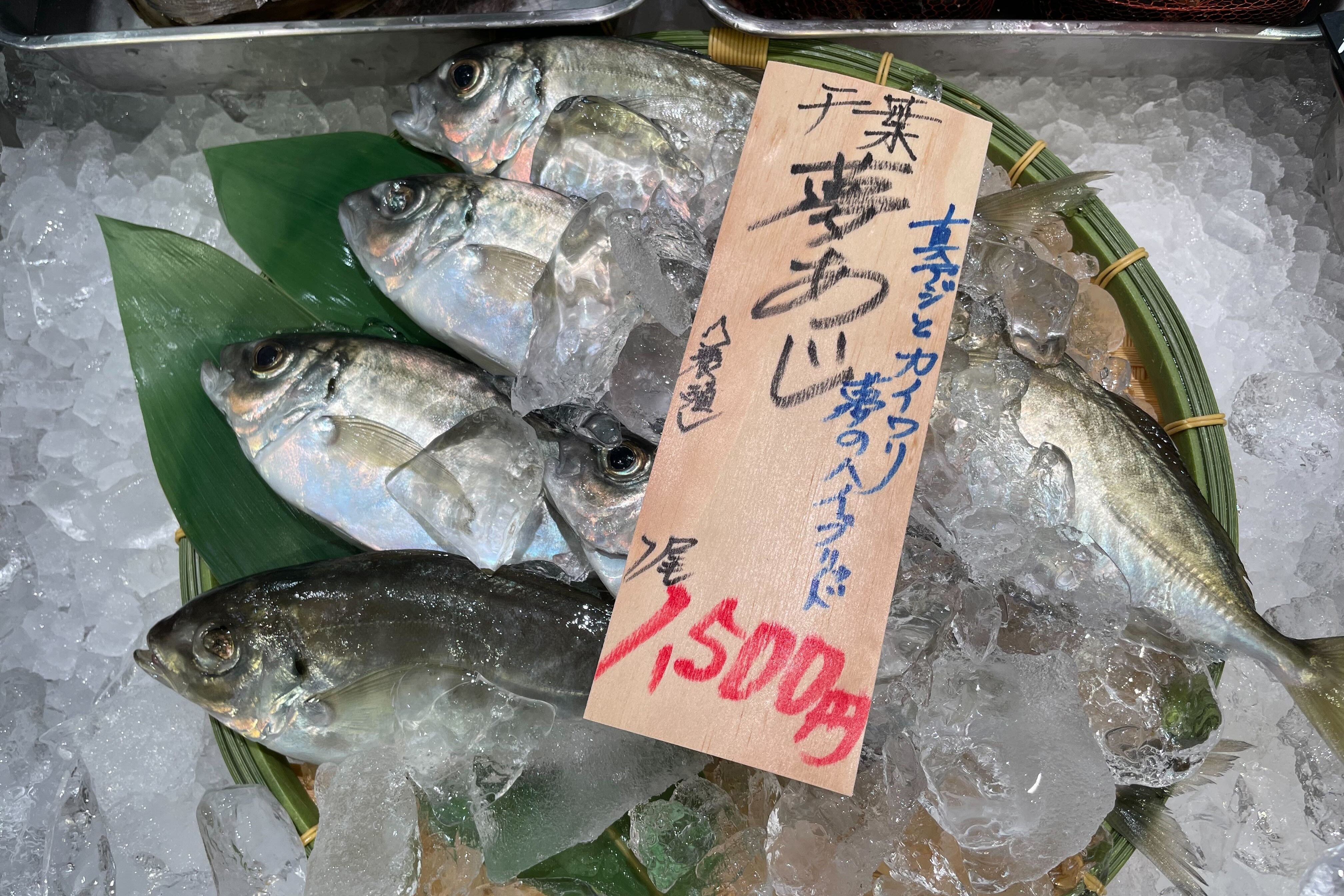 株式会社さかなドリーム画像3