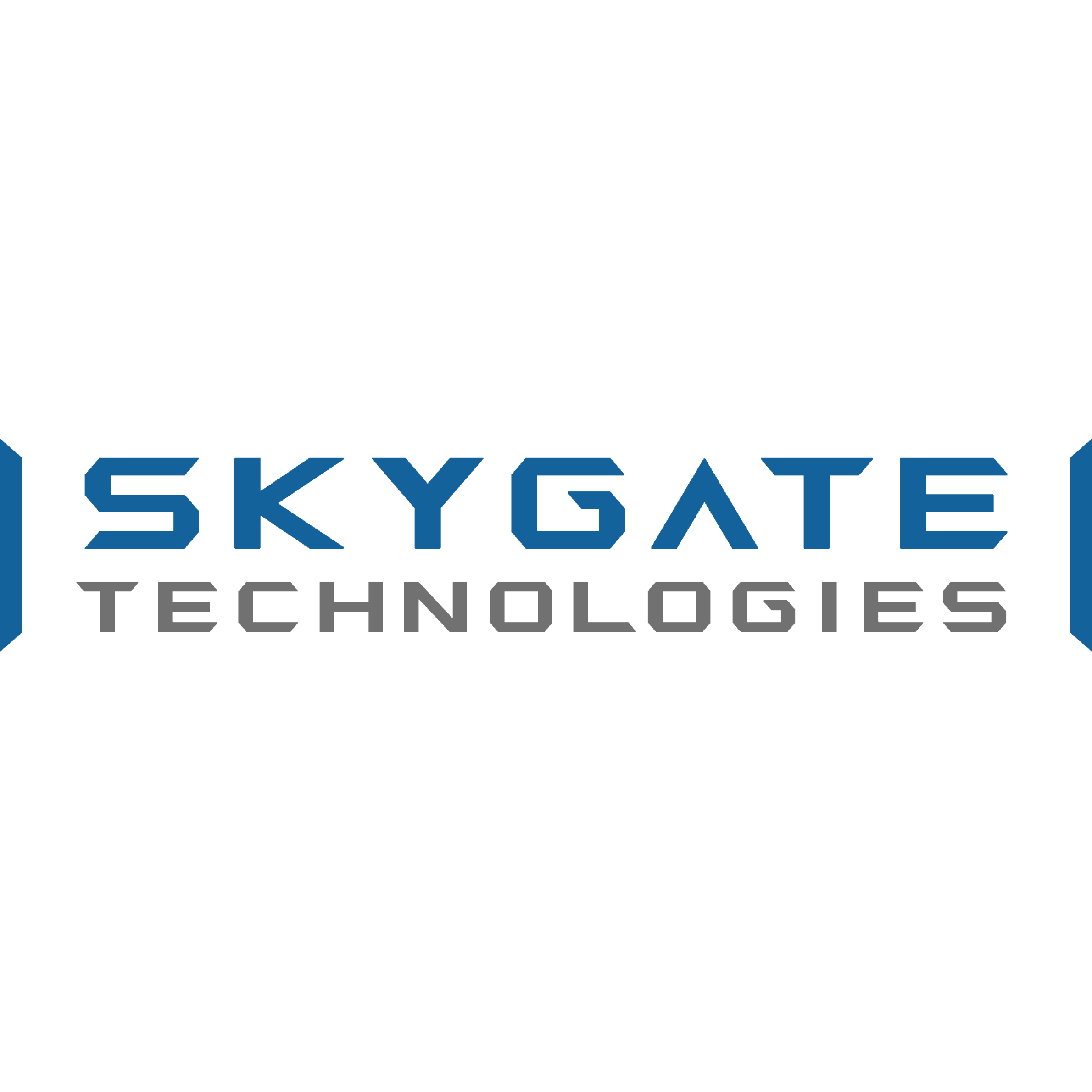 スカイゲートテクノロジズ株式会社