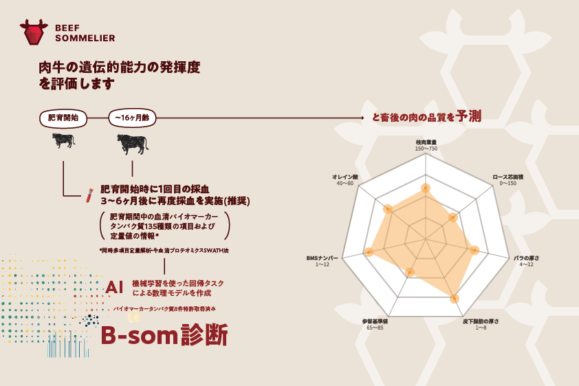 株式会社ビーフソムリエ画像3